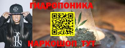 a pvp Моздок